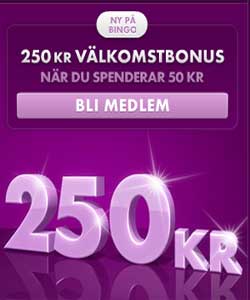 Bet365 Bingo Bonus