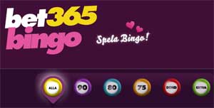 bet365 bingo